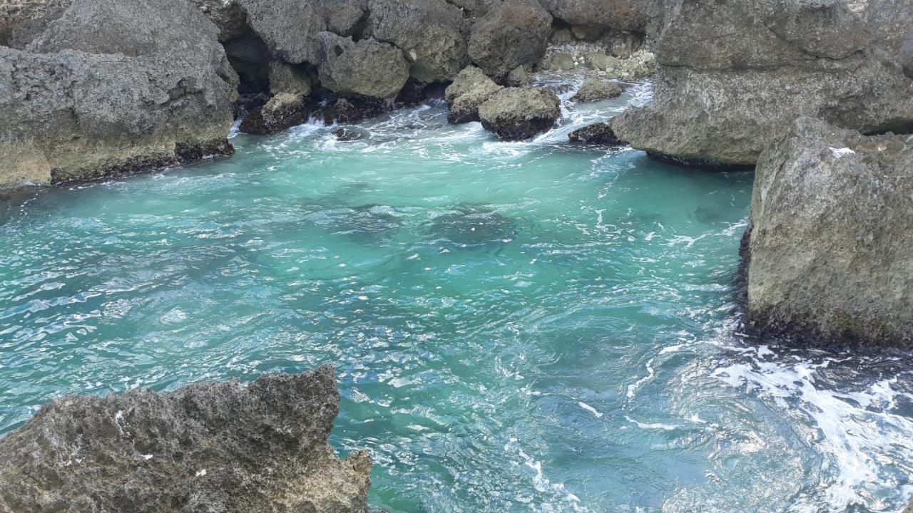 Zen'O Devilla Sainte-Anne  Luaran gambar